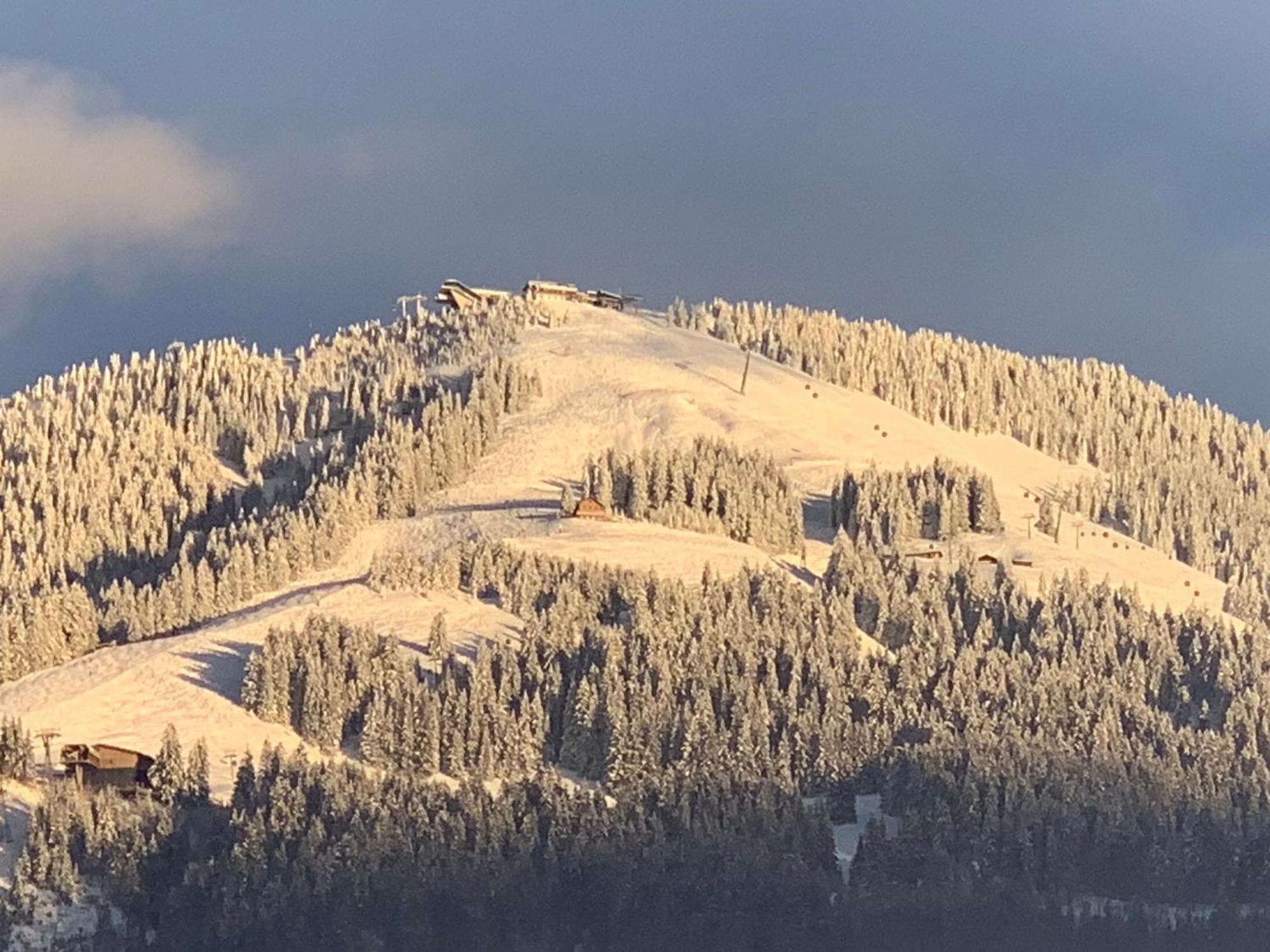 Appartementhaus Schubert Westendorf Bagian luar foto